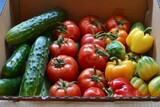 fresh organic tomatoes, peppers, and cucumbers displayed in a delivery box