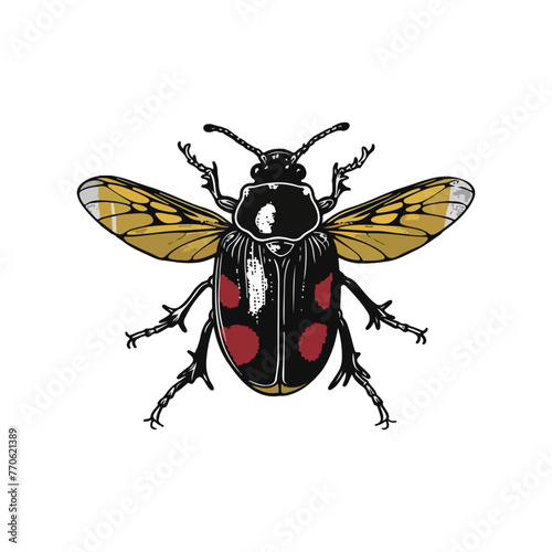"Artistic rendering of a beetle with spread wings, featuring a detailed black and red pattern, set on a white backdrop."  © Boy