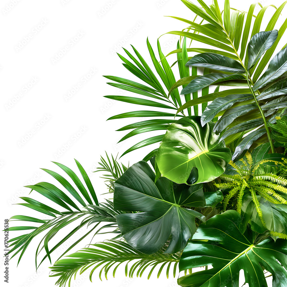 group of foliage plant on isolated white background, tropical green leaves for home decore