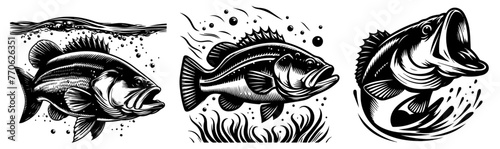 predatory fish black laser cutting engraving photo