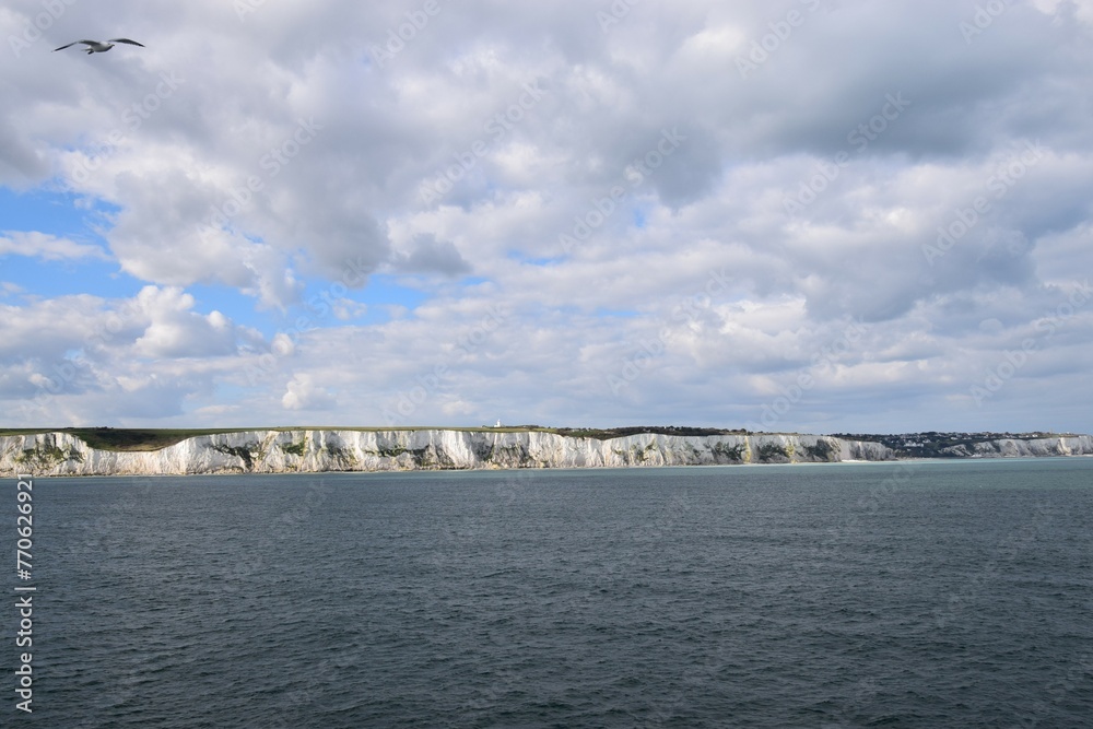 
Seagull flying above white cliffs of Dover, Kent, UK, seen from the see, with dramatic cloudscape above