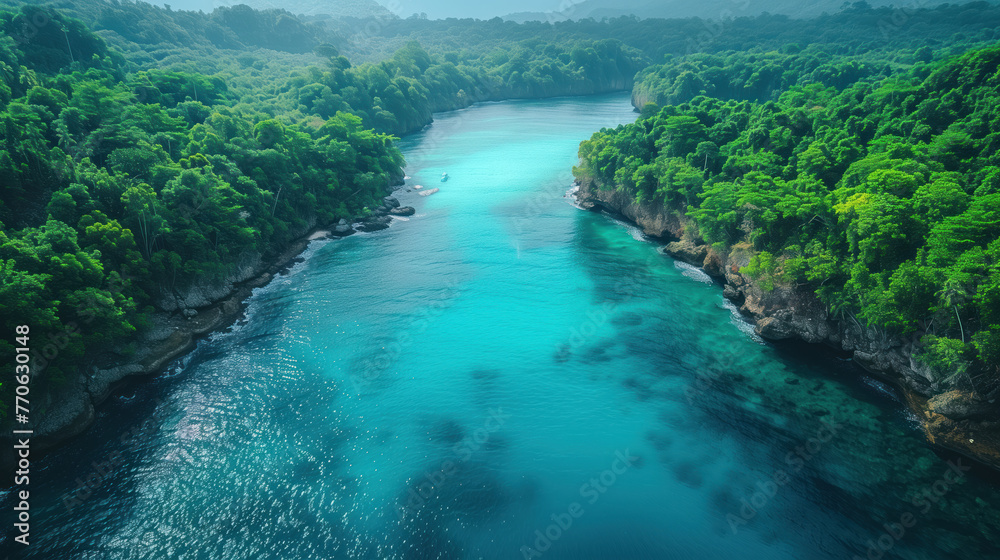 A view of a narrow river or bay with crystal clear water, surrounded by lush green rainforest trees A view of a narrow river or bay with crystal clear water, surrounded by lush green rainforest trees