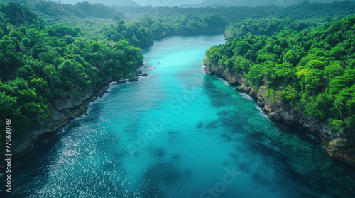 A view of a narrow river or bay with crystal clear water, surrounded by lush green rainforest trees