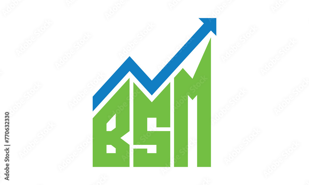 BSM financial logo design vector template.