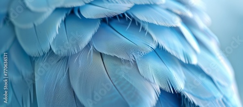 Macro shot showcasing row of vertical feathers against a plain blue soft pastel backdrop. The intricate patterns and textures resemble a luxurious fur or delicate eyelash