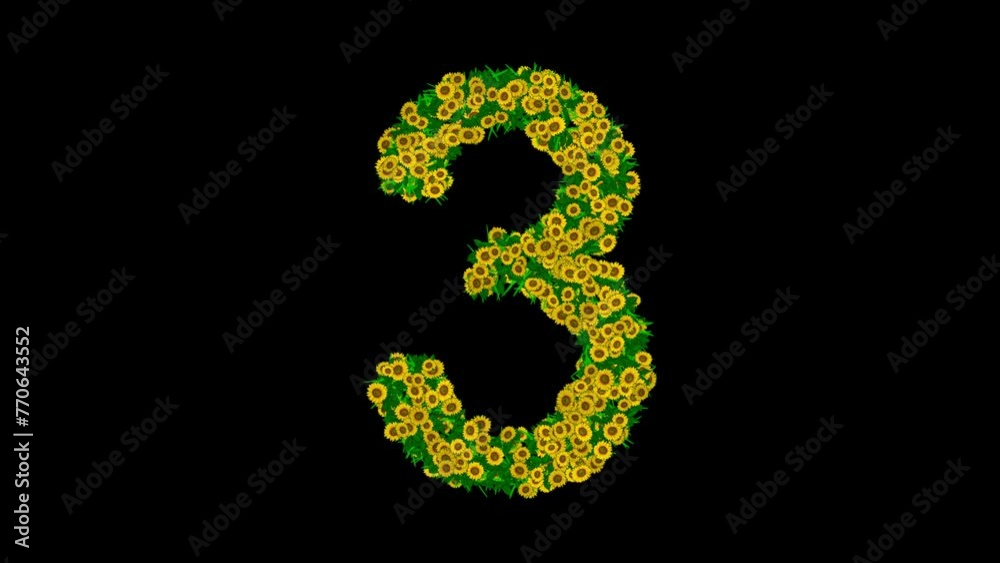 Number 3 with yellow daisy flowers and green leaves on plain black background