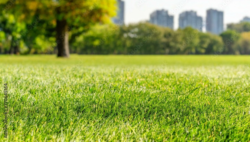 Suburban Serenity: Out-of-Focus Background of Lush Grass Field in Beautiful Park