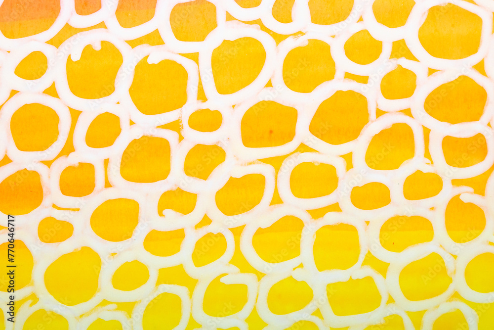 Felt Pen Lines and Colours on a White Background With Bubble Circles Felt Pen Lines and Colours on a White Background With Bubble Circles