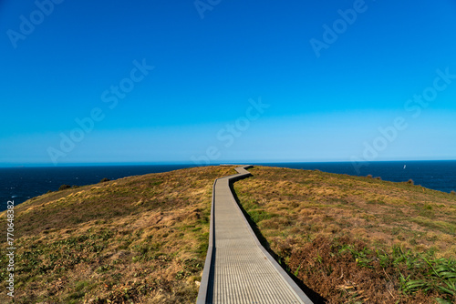 Walkway in Muttonbird Island, NSW, Australia photo