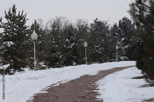 Almaty City 26 February 2024, Park of the first President, Kazakhstan photo