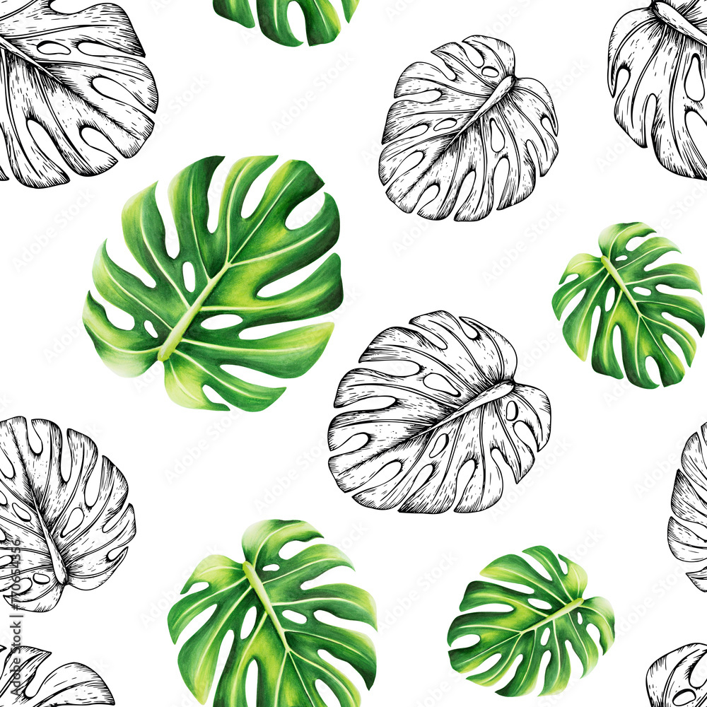 Watercolor seamless pattern with realistic and linear tropical illustration of monstera isolated on background. Beautiful botanical hand painted logo with floral elements. For designers, spa dec - obrazy, fototapety, plakaty 
