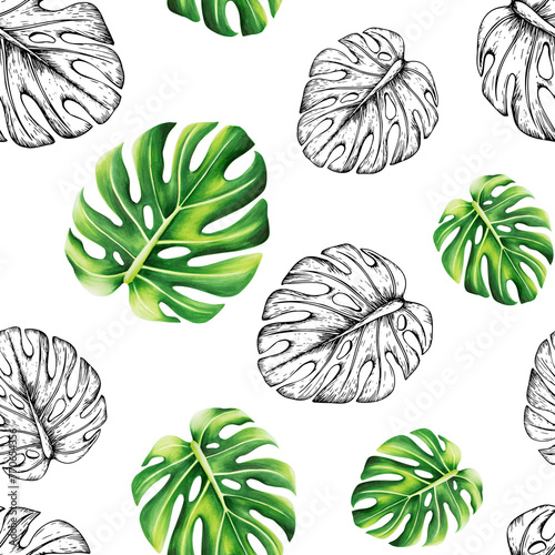 Watercolor seamless pattern with realistic and linear tropical illustration of monstera isolated on background. Beautiful botanical hand painted logo with floral elements. For designers, spa dec