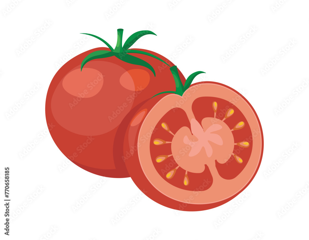 Vector illustrtion of tomato. Vector illustration of a red tomato in section.Vegetable on white background. Vector illustrtion of tomato. Vector illustration of a red tomato in section.Vegetable on white background.