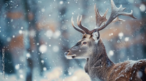 Noble deer male in winter snow forest. Artistic winter christmas landscape