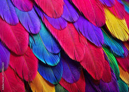 Colorful feathers background. Close up of colorful feathers texture background. © Graphic Dude