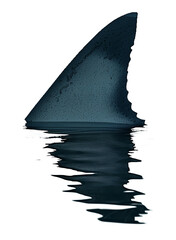 Shark Fin above Water with Reflection Isolated on Transparent Background
