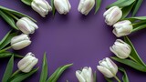 A circular arrangement of white tulips creates a striking focal point against the deep purple background. Extensive copy space This makes it ideal for adding text or other design elements