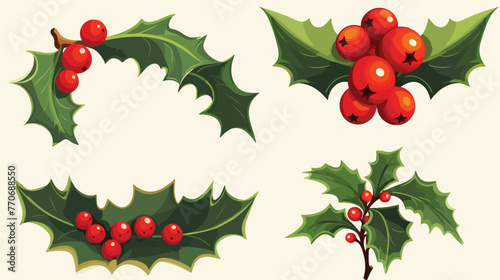 Holly Specie Twig with Red Berries and Fir Cone Vec