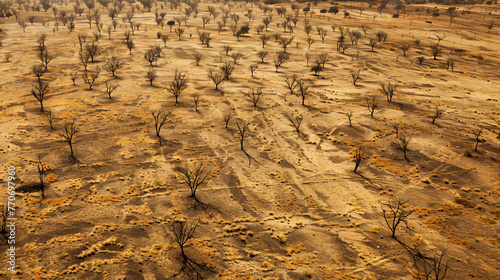 A vast area of land experiencing desertification with sparse vegetation and dry soil.