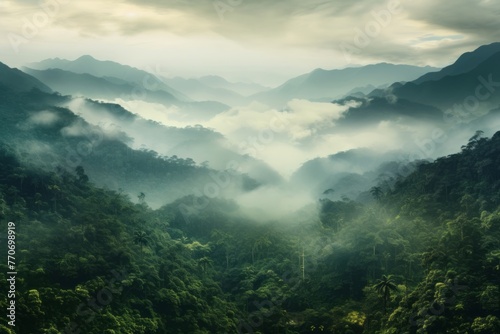 A green rainforest with clouds is viewed from a panoramic scale, its hazy landscapes and birds-eye-view apparent.