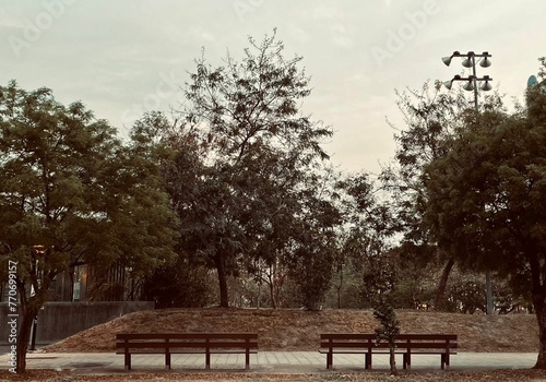 Outdoor park street trees and pedestrian paths