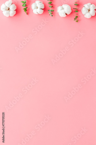 Flowers border with green eucalyptus branches and dry cotton on pink background top view space for text. Blog mockup © 279photo