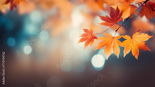 Charming autumn scenery