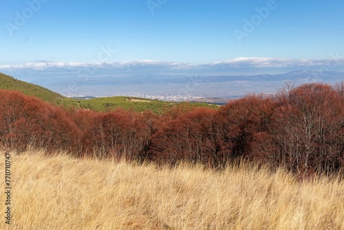 Landscape of the Vitosha Mountain covered in greenery under a blue cloudy sky in Bulgaria