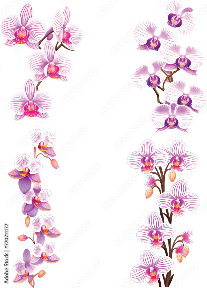 Watercolor orchid clipart featuring exotic blooms in purple and pink hues vector style
