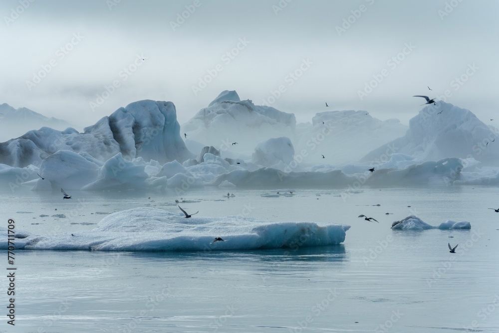 birds fly over a lake surrounded by icebergs and rocks - obrazy, fototapety, plakaty 
