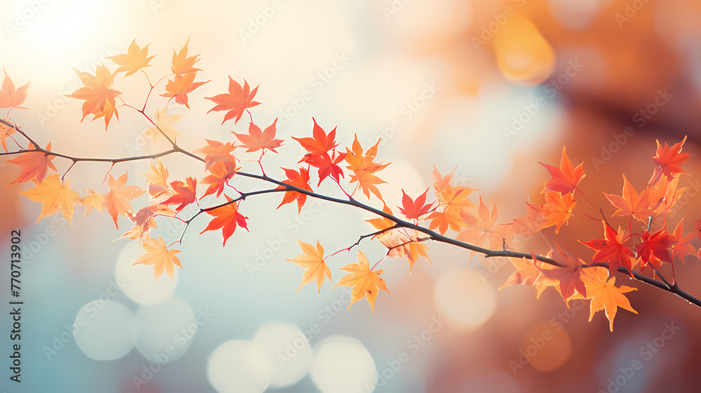 Autumn background with copy space Autumn season changes background Autumn background with copy space Autumn season changes background