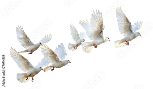 Graceful white doves flying png on transparent background photo
