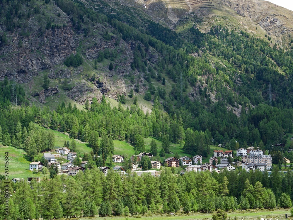Scenic view of a rural town nestled in the mountainside, surrounded by lush evergreen forest