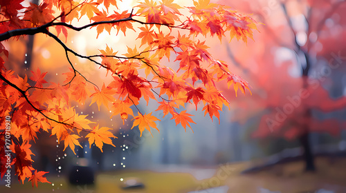 Fallen leaves in the woods in autumn