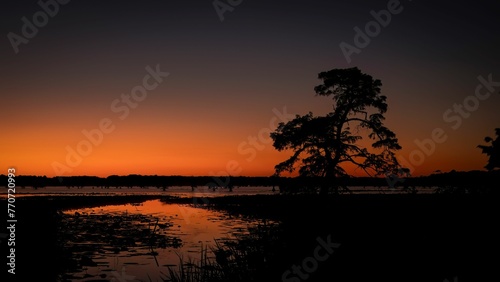 Majestic tree standing in the foreground of a tranquil lake at sunset. © Wirestock