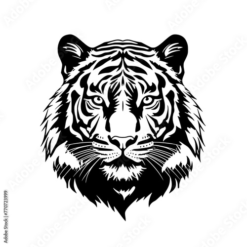 white tiger head