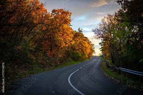 a curve in the road next to some trees with yellow leaves on them