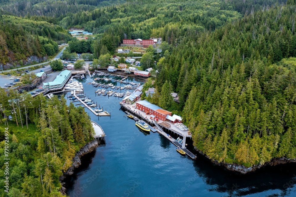 Aerial view of the scenic Telegraph Cove in Vancouver Island, BC, Canada