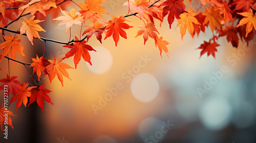 Autumn scenery  autumn scenery with falling maple leaves