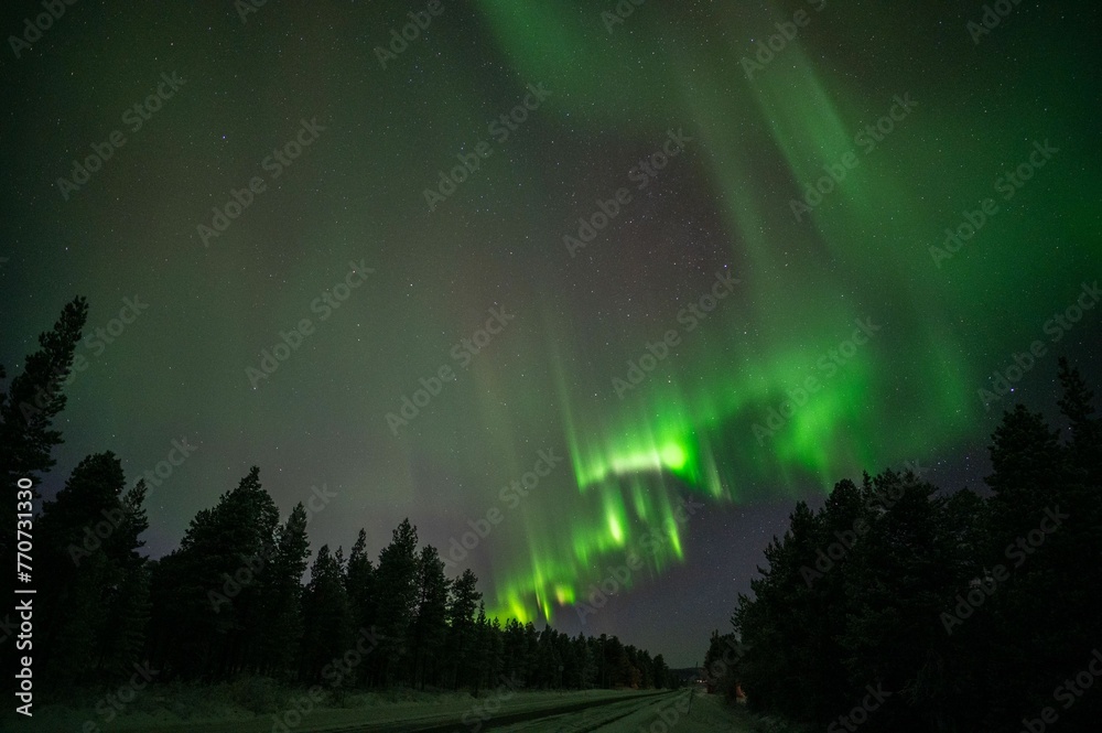 Stunning aurora borealis illuminating the night sky above the rural landscape.
