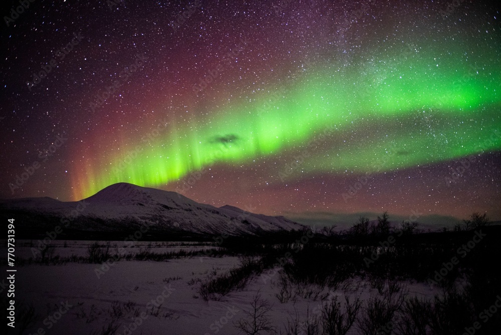 Stunning aurora borealis illuminating the night sky above the rural landscape.