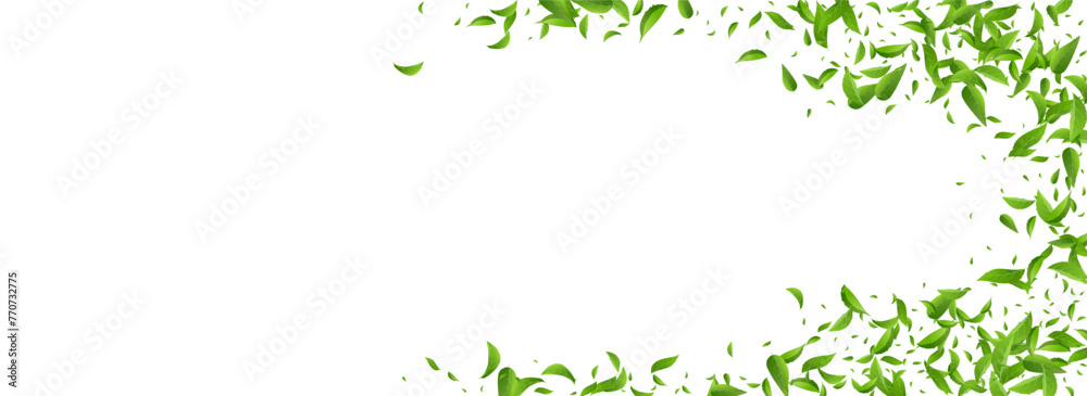 Leaves_Vortex_Flying_Vector_Background_134.eps Leaves_Vortex_Flying_Vector_Background_134.eps