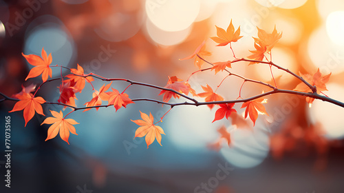 Autumn scenery, autumn scenery with falling maple leaves © Derby