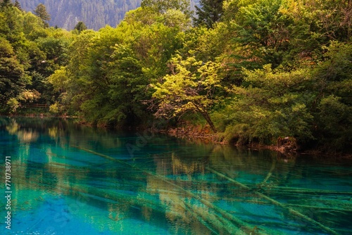 Scenic view of a forest with a lake in Jiuzhaigou, Sichuan Province, China.