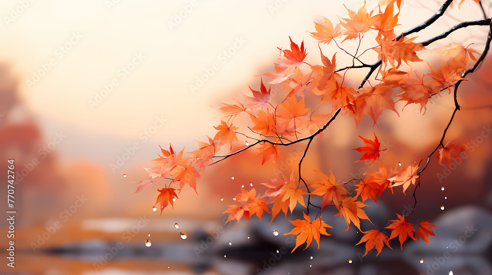 Autumn leaves form a beautiful background Autumn leaves form a beautiful background