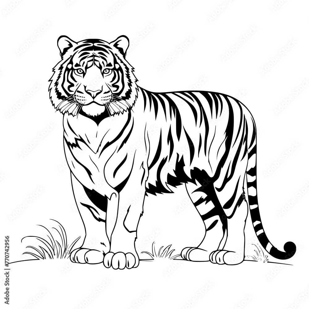 Fototapeta premium tiger illustration