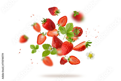 Fresh sweet strawberry berries with flower and leaves flying falling isolated on white background.