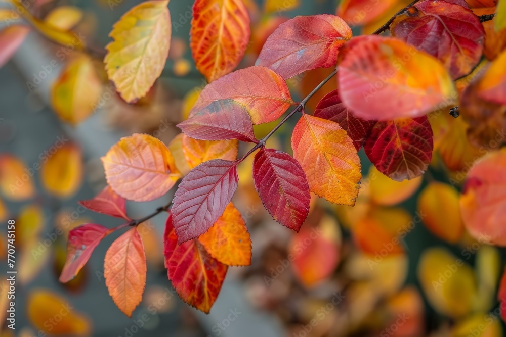 Closeup of a branch with red and yellow leaves, showcasing the vibrant colors of fall foliage