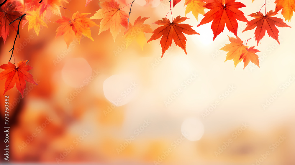 Autumn leaves form a beautiful background Autumn leaves form a beautiful background