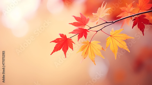 Autumn leaves form a beautiful background